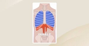 article-diaphragm-breath-0