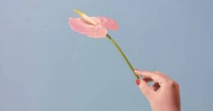 article-edging-orgasm-control-0-1200-628