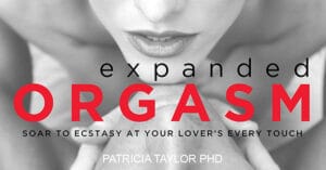 article-expanded-transcendent-0-1200-628