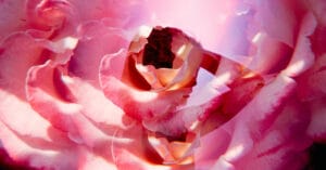 article-how-to-energy-orgasm-0-1200-628