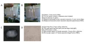 article-insights-female-ejaculation-0-1200-628