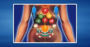 article-karsai-nei-tsang-0