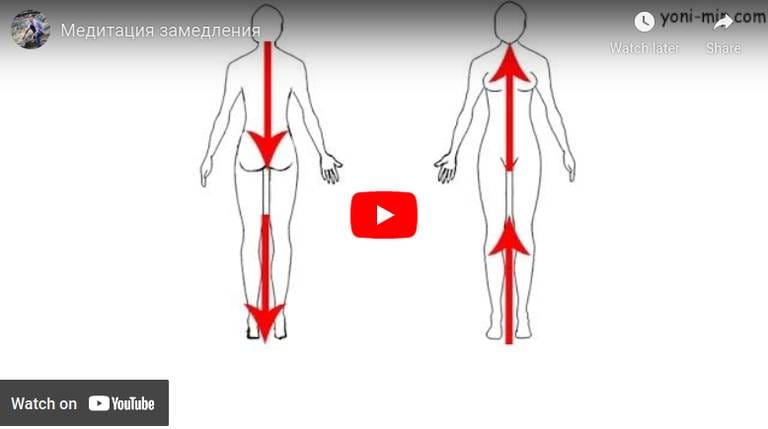 article-meditation-of-slowdown-1