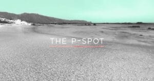 article-p-spot-0