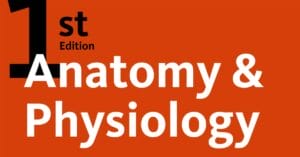 article-physiology-arousal-orgasm-0