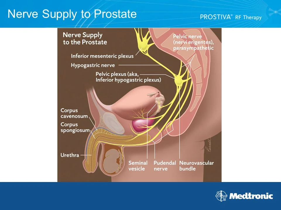 article-prostate-induced-orgasms-3