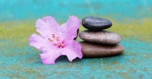 article-nerve-system-balance-0