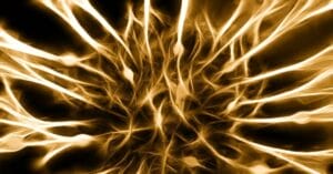 Блуждающий нерв: Стресс, «чувствование нутром» и оргазмы