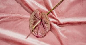 6 дивовижних (і наукових!) фактів про оргазми