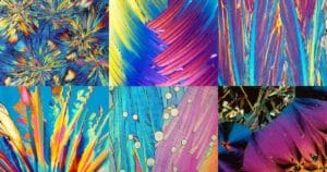 article-hormones-under-microscope-0