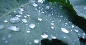 Кто будет спать на мокрой стороне кровати?