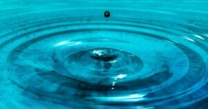 Діагностика жіночих «статевих» виділень: огляд