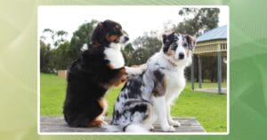 article-massage-benefits-both-partners-0