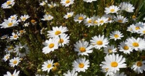 5 ознак духовного пробудження