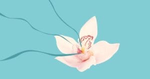 Дізнайтесь важливі факти про клітор для кращого сексу