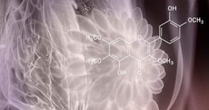 Отсутствие пролактина у мультиоргазмичного мужчины