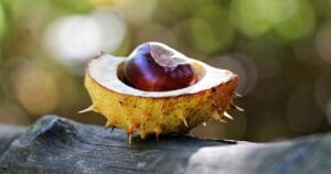 Как добиться оргазма простаты: 11 советов, поз и игрушек