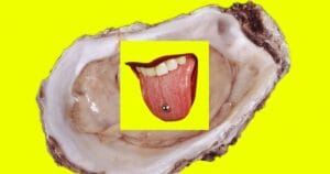 Путівник сайту VICE по клітору