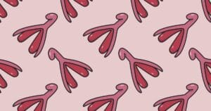 Клітор – коротка історія