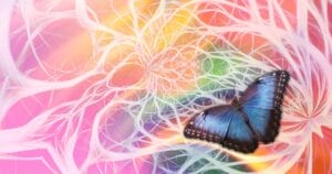 Прикосновение к С-тактильному афференту несёт ценность