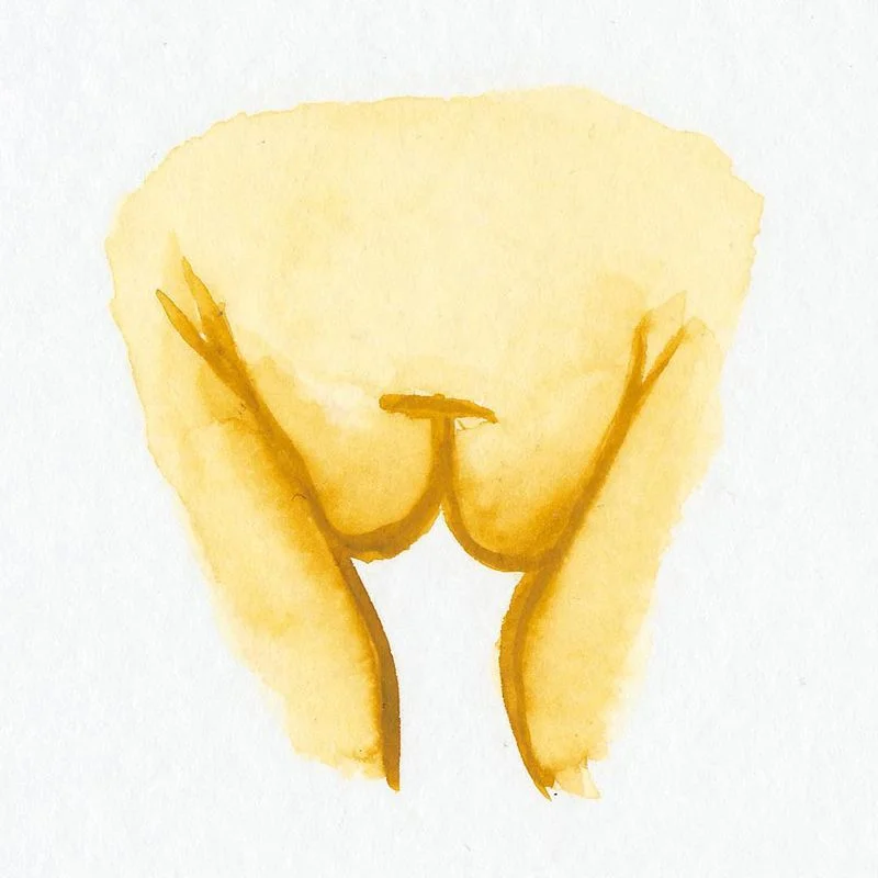 8-different-types-of-vulvas-1