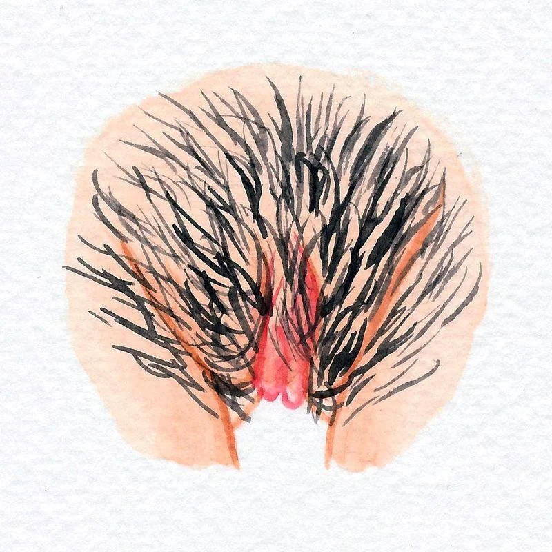 8-different-types-of-vulvas-2