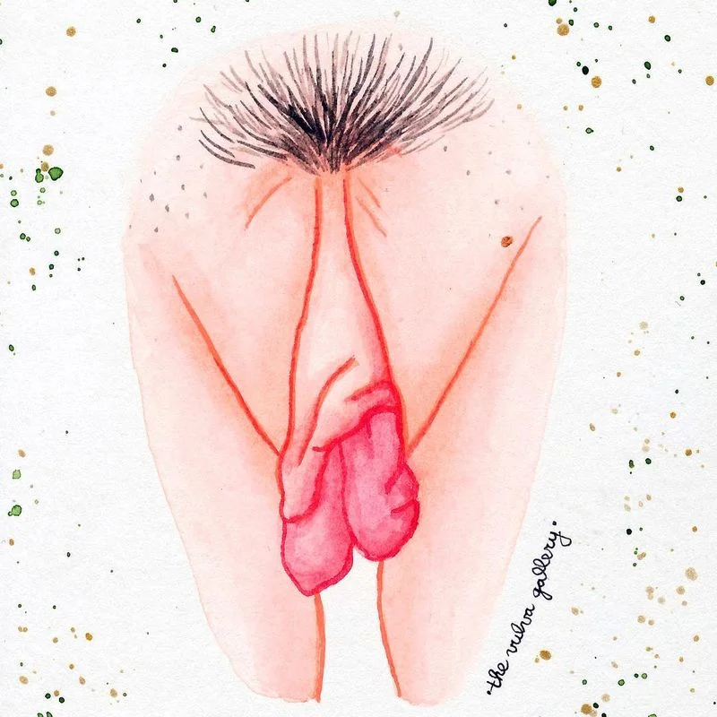 8-different-types-of-vulvas-3
