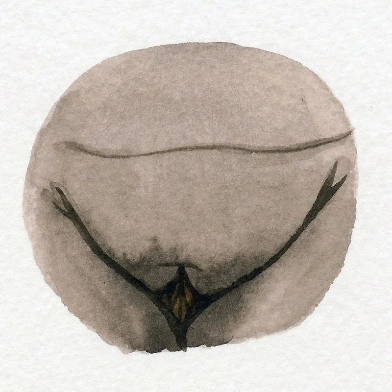 8-different-types-of-vulvas-5