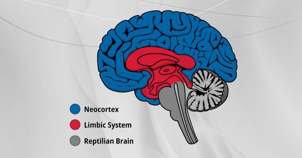 Йони массаж: не понимаю, что это было