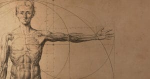 Что нужно знать о мужской анатомии