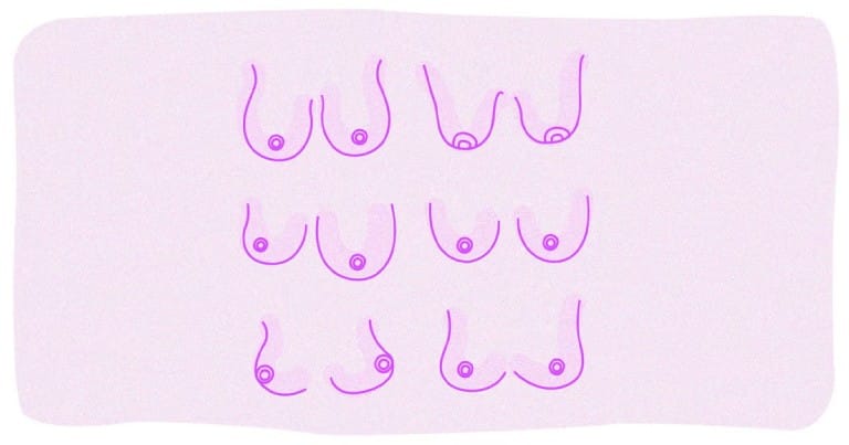 В мире существует 8 различных типов груди