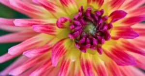 Любопытная связь точки G и верхнего нёба