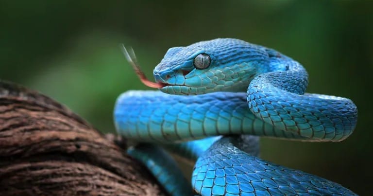 Что такое Кундалини?