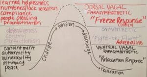 nervous-system-rhythm-0