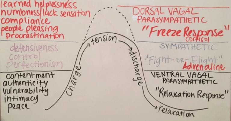 nervous-system-rhythm-0