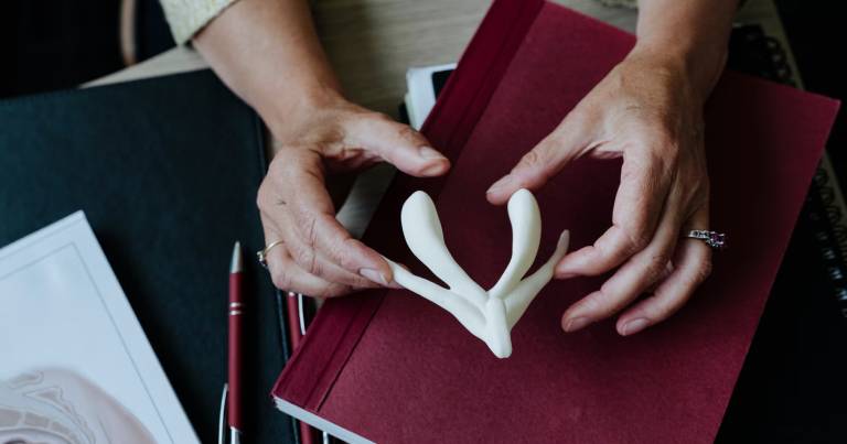 sole-function-of-clitoris-0