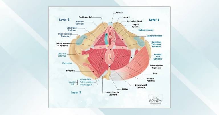 pelvic-floor-tension-pain-0