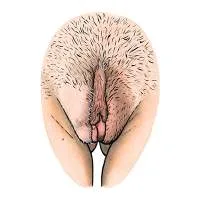 all-vulvas-are-beautiful-11