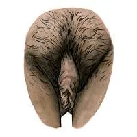 all-vulvas-are-beautiful-14
