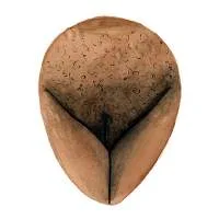 all-vulvas-are-beautiful-16