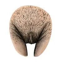 all-vulvas-are-beautiful-18