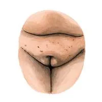 all-vulvas-are-beautiful-2