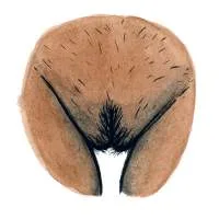 all-vulvas-are-beautiful-20