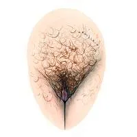 all-vulvas-are-beautiful-21