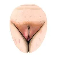 all-vulvas-are-beautiful-23
