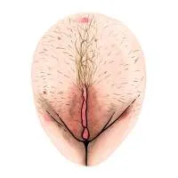 all-vulvas-are-beautiful-3