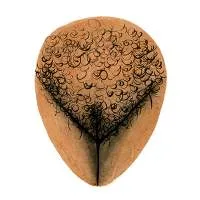 all-vulvas-are-beautiful-8
